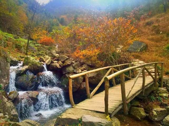 冷知识分享平台五一旅游写作文400字,了解未知的乐趣